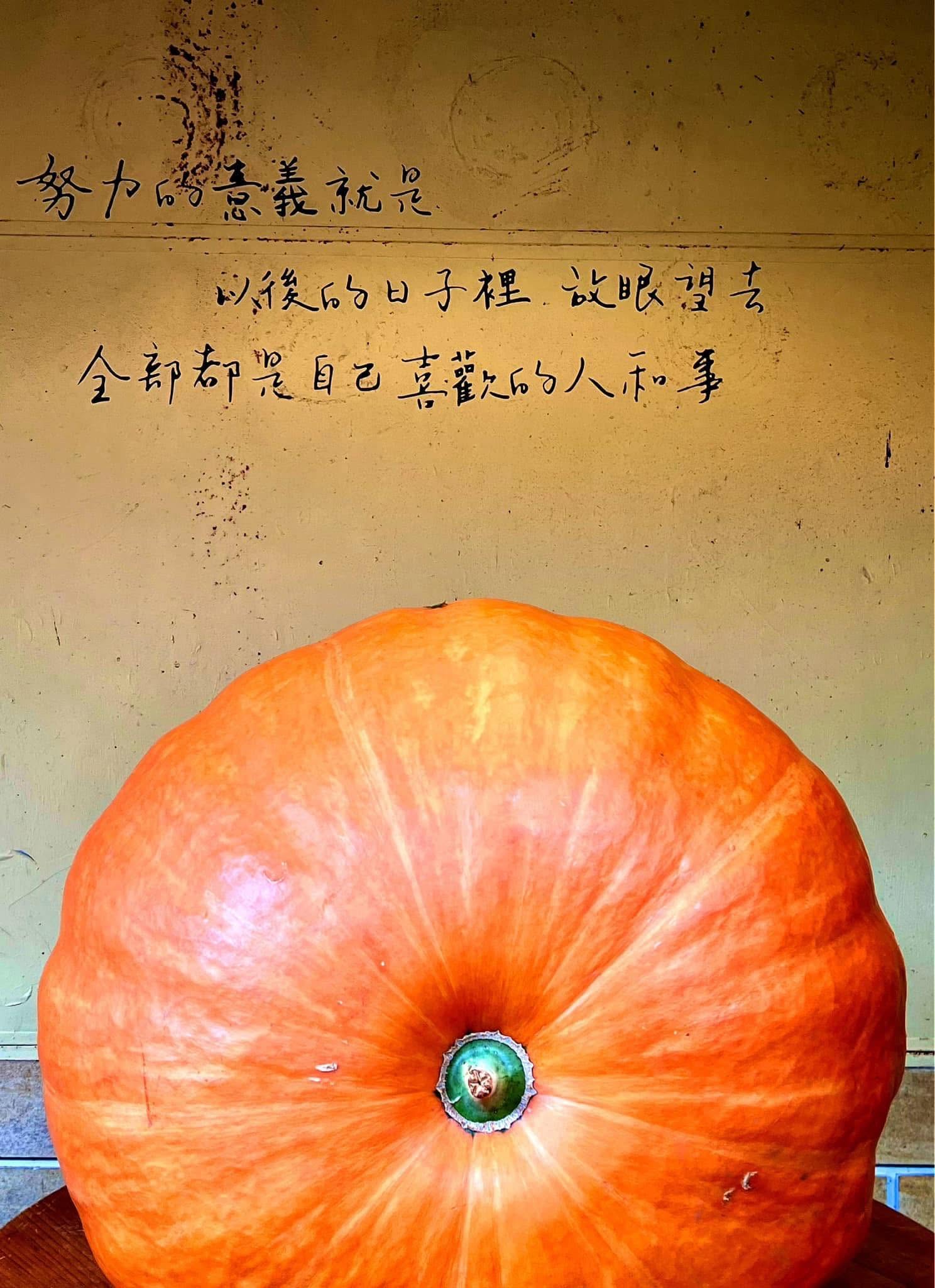 南瓜與手寫文字呈現土地故事